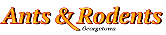 Georgetown Ant Exterminator & Rodent Control Company Logo